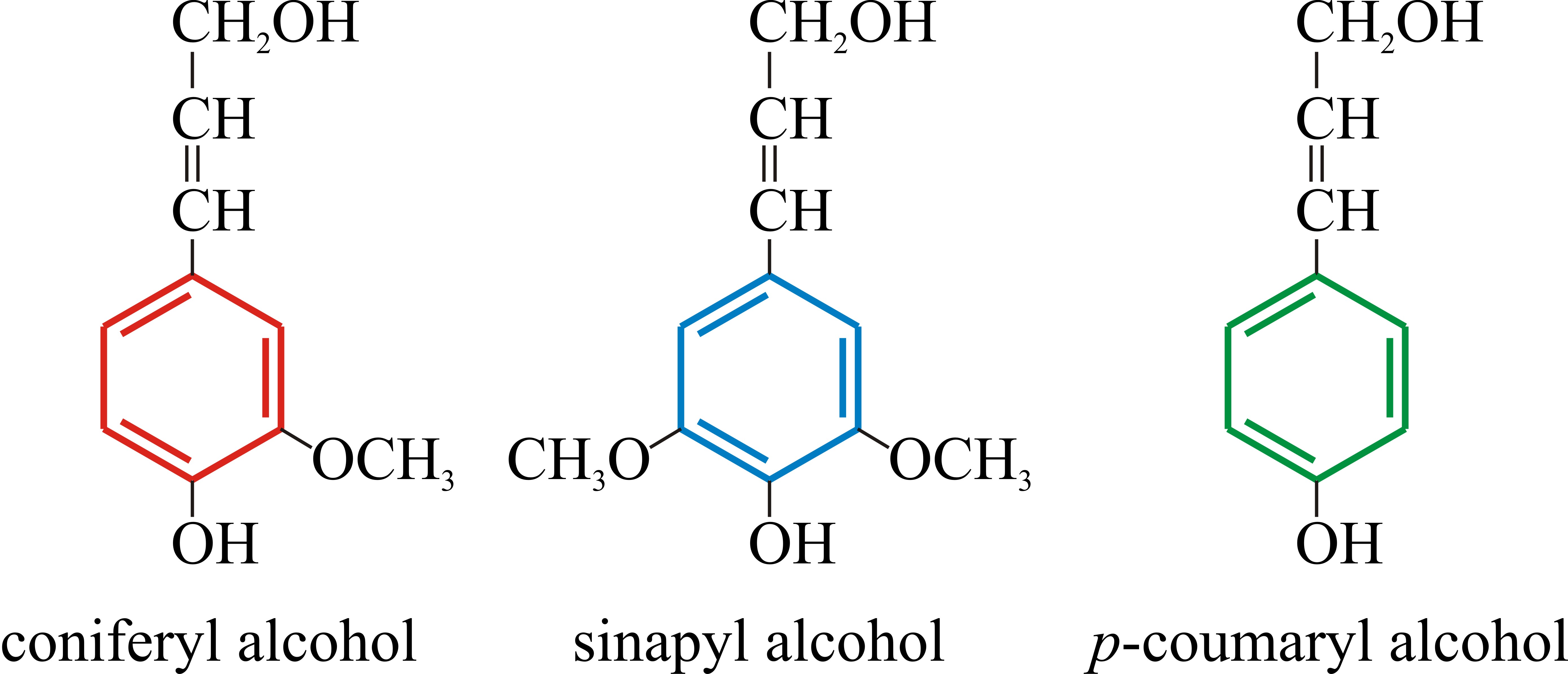 Chemical structures of the phenylpropanoid alcohols used to construct the lignin polymer