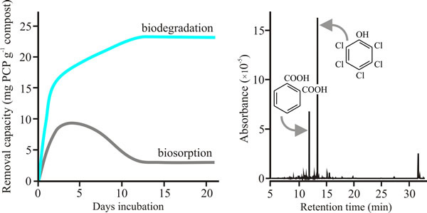 Data showing that incubation for a few weeks with spent Oyster Mushroom compost leads to destruction of pentachlorophenol