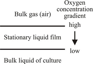 Process of oxygen absorption according to the stationary liquid film theory