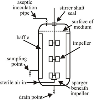 Engineering sketch showing, in sectional view, a typical large industrial STR fermenter