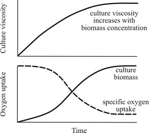 Cultures of filamentous fungi have a non-Newtonian behaviour and viscosity is related to biomass concentration and branching frequency
