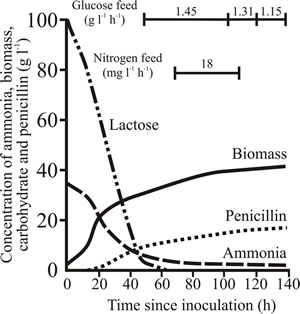Characteristics of a typical penicillin production run