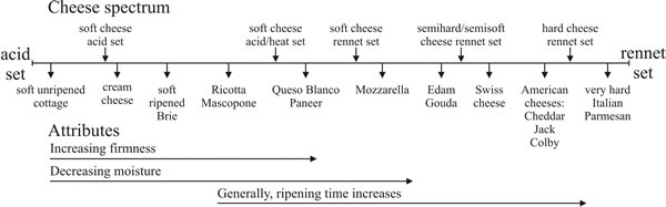 The cheese spectrum