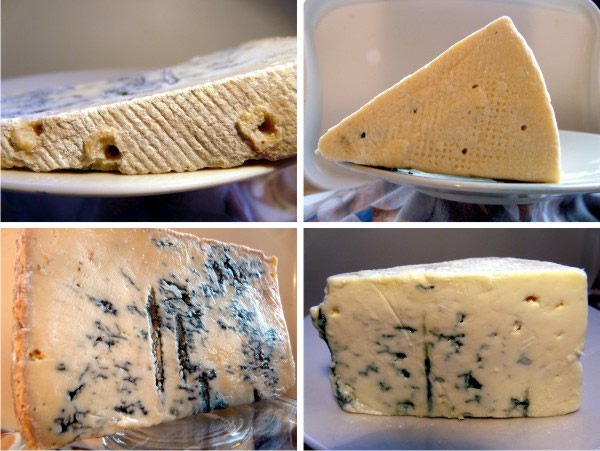 Samples of blue cheeses