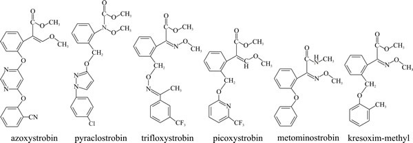 Structural formulae of commercial strobilurin fungicides