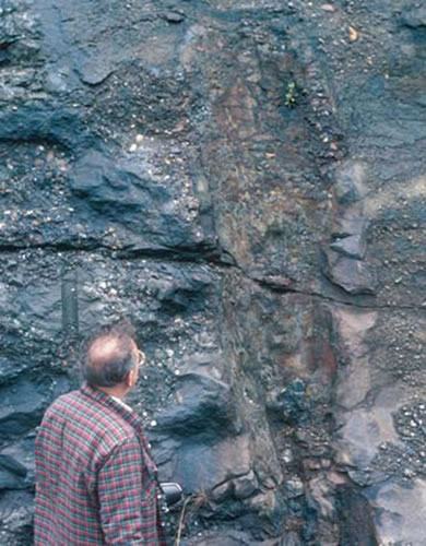 A Lower Devonian Prototaxites compression fossil, approximately 2 m tall, in situ in the Bordeaux Quarry, Quebec with its discoverer posing alongside