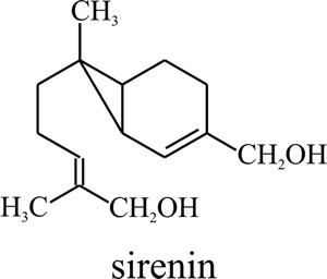 Molecular structure of the Allomyces male-attracting pheromone sirenin