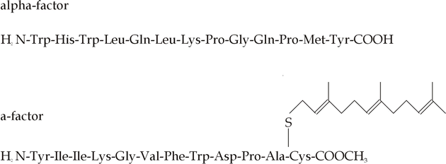 Simplified chemical structures of yeast pheromones