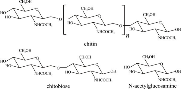 Structural formulae of chitin and its constituents