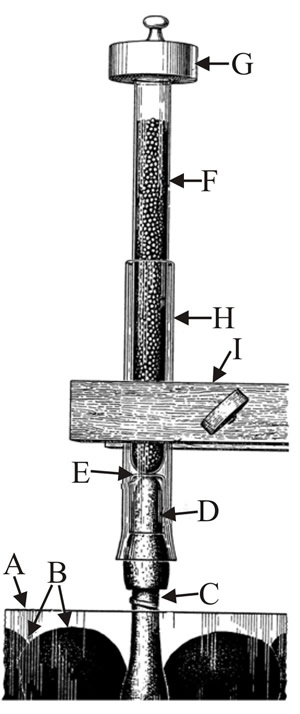 Diagram of an experimental rig to test the ability of fruit bodies of Coprinus sterquilinus to lift quantities of lead shot