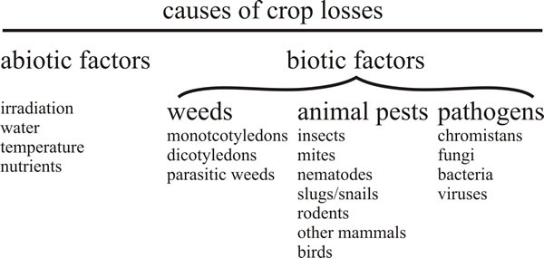 Biological and physical aspects of the environment that lead to a lower crop yield