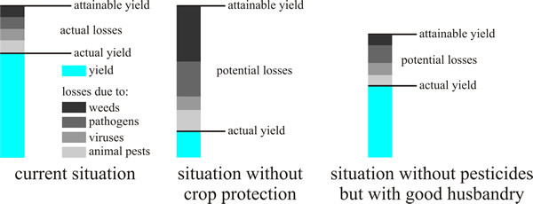 Typical crop losses and yield levels estimated with and without various protection regimes