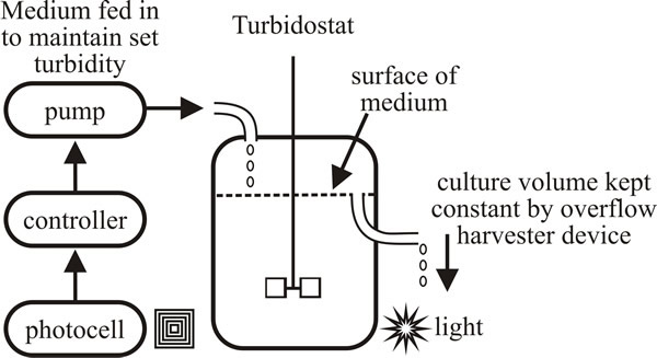 Schematic of a turbidosta