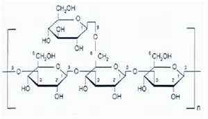 Diagram showing a typical β-1,4-glucan