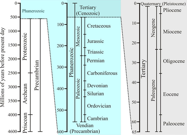 Geological timescale