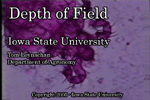 depth of field movie