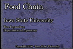 food chain movie