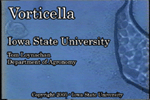 vorticella movie