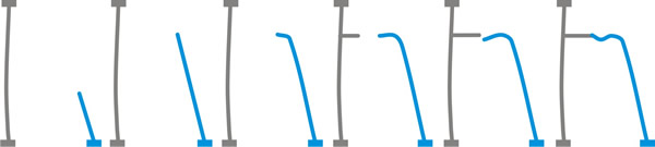 Autotropisms: sketch showing positive autotropism leading to a 'tip-to-peg' hyphal fusion reaction