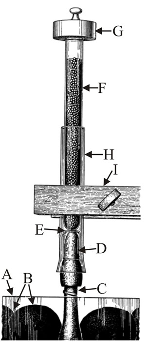 Diagram of an experimental rig to test the ability of fruit bodies of Coprinus sterquilinus to lift quantities of lead shot