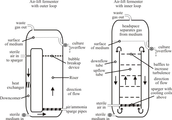 Sketch diagrams of typical air-lift fermenters