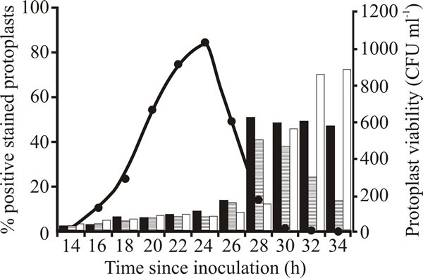 Viability and appearance of apoptotic markers during stationary phase of Aspergillus fumigatus