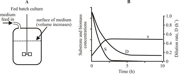 Diagrams of fed-batch cultures