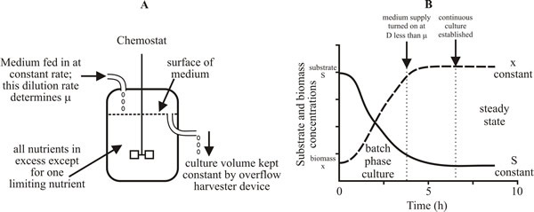 A basic chemostat