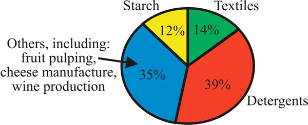 Main applications of fungal enzymes