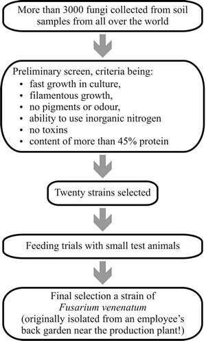 Flowchart of the screening programme that was used to find the fungus that eventually became known as the Quorn fungus