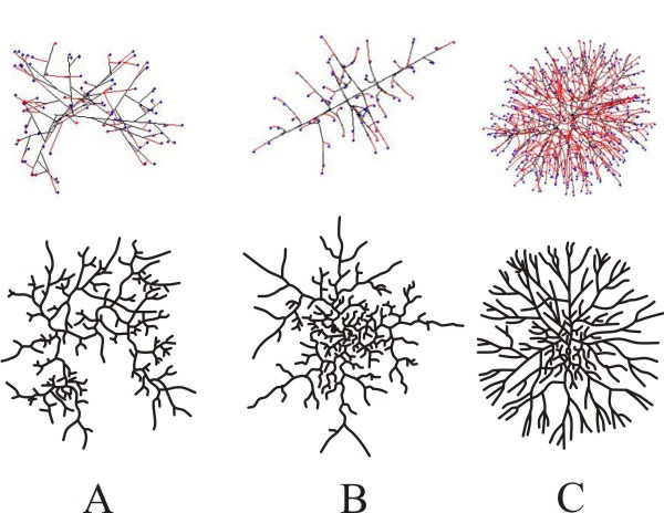 Comparing simulated and real fungal colonies