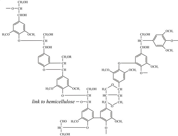Schematic formula of the polymer structure of angiosperm lignin