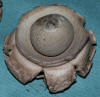 Geastrum triplex Collared Earthstar