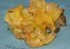 Tremella mesenterica Yellow Brain