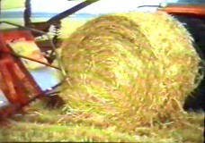 bailing straw