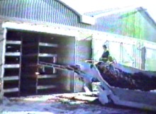 machines load the trays with compost