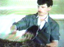 compost is inoculated