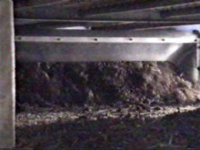 the mycelium at the surface is broken up by the rotating tines of a ruffler