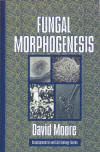 Fungal Morphogenesis