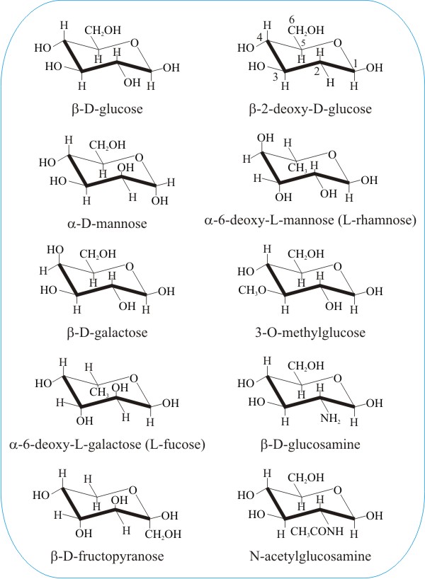 structures of common sugars