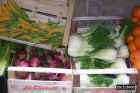art1801Rome_vegetables.JPG (62019 bytes)