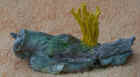 Calocera.JPG (44219 bytes)