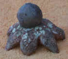 Earthstar.JPG (32104 bytes)