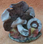 Field_mushroom.JPG (40162 bytes)