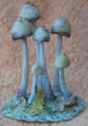 Liberty_Cap.jpg (36707 bytes)