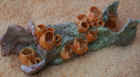 Orange_peel.JPG (39299 bytes)