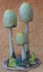 Panaeolus_semiovatus.JPG (49030 bytes)