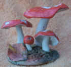 Russula_emetica.jpg (27585 bytes)