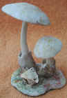 Volvariella_bombycina.JPG (43321 bytes)