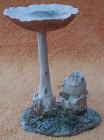 Volvariella.JPG (51979 bytes)